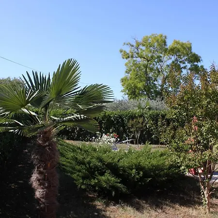 Apartment Apartments With A Parking Space Valbandon, Fazana - 7227 *